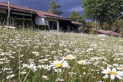 Ferienhaus Nr. 106, Kategorie