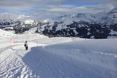 Schweiz,Lenk,Berner