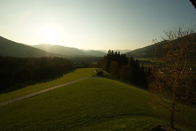 Der Sonnenhof - Appartement Ahorn