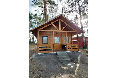 Vakantiehuis Ontspannende vakantie Heideblick