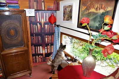 Rotes Kreativ-Ferienhaus