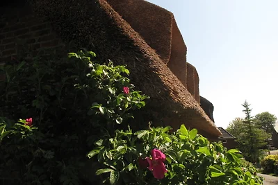 Casa vacanze Vacanza di relax Dagebüll