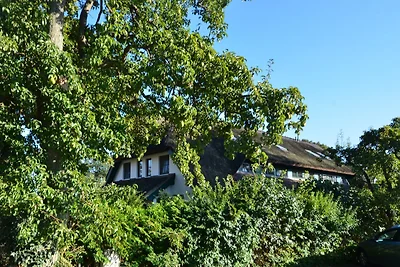 Grosses Reethaus 17c "Dünenrose"