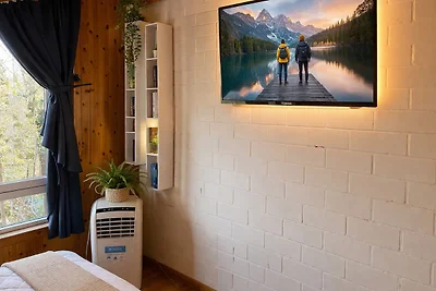 Ferienpark - Komfort-Ferienhaus