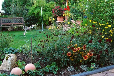 Vakantiehuis Ontspannende vakantie Beltheim