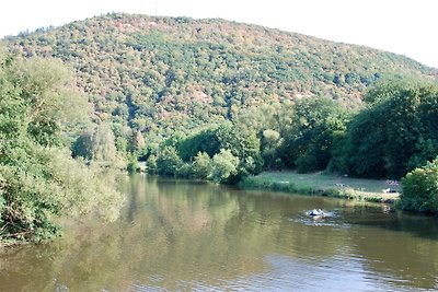 Vakantieappartement Gezinsvakantie Bad Kreuznach