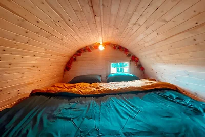 Kuhle Auszeit - Fass Sonnenblume