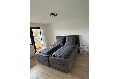 RheinSchatz Apartment 4