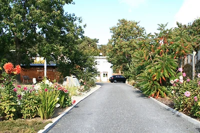 Ferienwohnungen Villa Waldblick