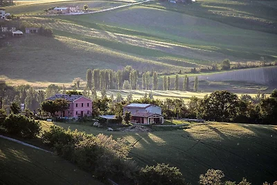 Quindici Alberi Legnaia