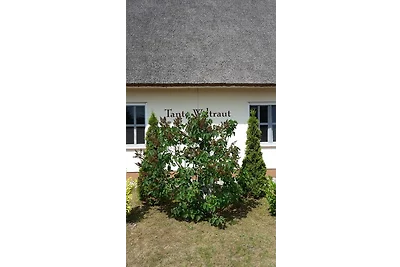 Häuschen "Tante Waltraut"