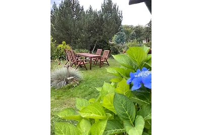 Ferienhaus im Harz, direkt am Wald