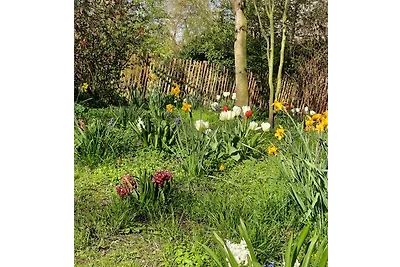 Vakantiehuis Ontspannende vakantie Eydelstedt