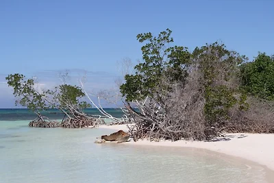 Appartamento Vacanza con famiglia Pinar del Rio