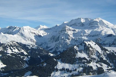 Ferienwohnung Lenk