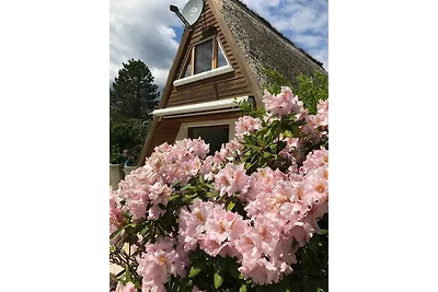 Casa vacanze Vacanza di relax Lenzen