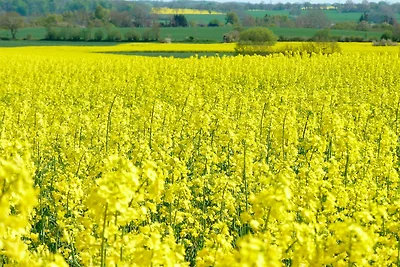 Appartamento Vacanza con famiglia Grödersby