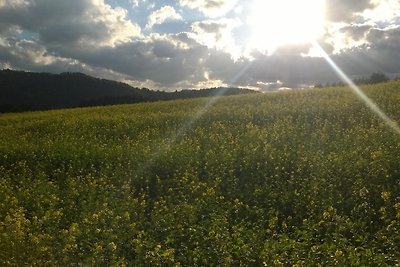 Vakantiehuis Ontspannende vakantie Biersdorf am See