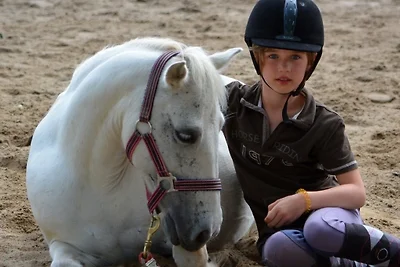 Pony-Ranch-Hütte