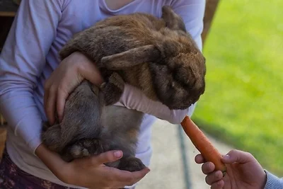 Vakantieappartement Gezinsvakantie Fehmarn