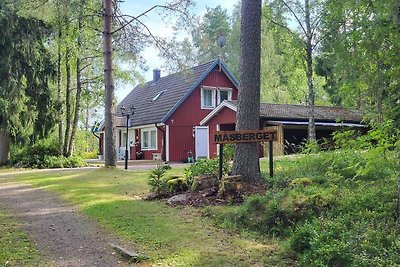 Vakantiehuis Ontspannende vakantie Kristinehamn