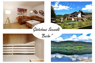 Appartamento Vacanza con famiglia Schluchsee