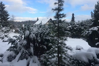 Harz Fewo Eulennestchen S.1