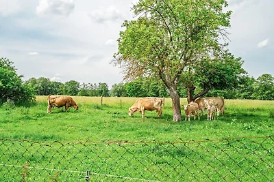 Ferienhaus Alt-Gaarz
