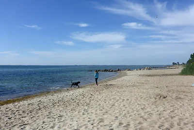 Casa vacanze Vacanza di relax Schashagen