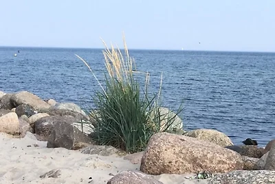 "LüttMeerDeern", Im Grünen Winkel