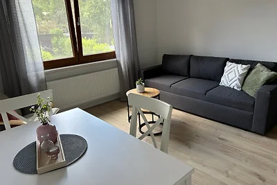 RheinSchatz Apartment 4