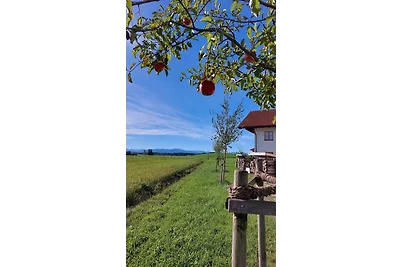 Ferienwohnung Wallberg