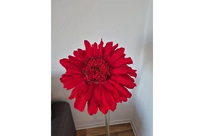 Appartamento Vacanza con famiglia Beuren