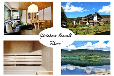 Vakantieappartement Gezinsvakantie Schluchsee