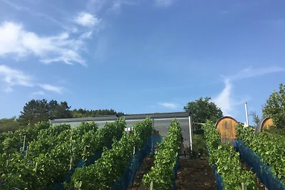 TENNENBODEN – Komfort-DZ, die