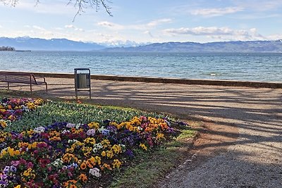 Fewo 2 (West) BodenSEE Apartments
