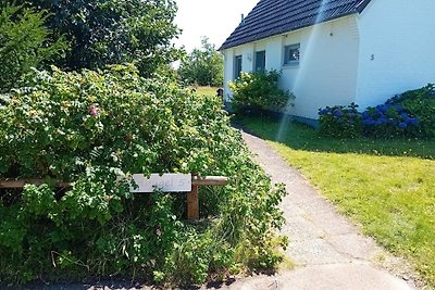 Vakantieappartement Gezinsvakantie Nebel