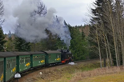 Vakantieappartement Gezinsvakantie Grünhainichen