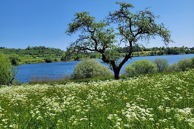 Eifel Ferienhaus mit Hunden