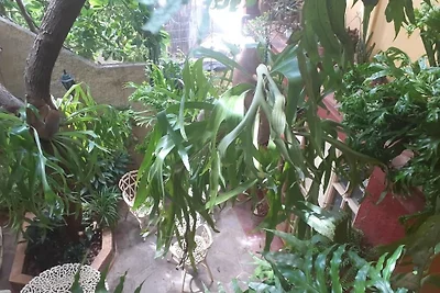 La Casa D' Pepe Appartement 1