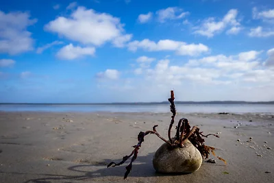 Ferienhaus Lille Strandhus