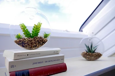 Ferien- Monteurwohnung in Zülpich