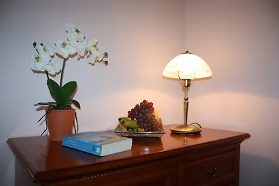 (Brise) Neubauvilla Elbflorenz App.