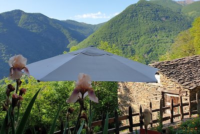 Casa vacanze Vacanza di relax Verbano-Cusio-Ossola