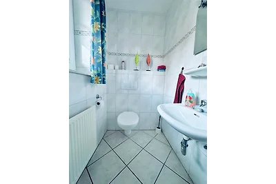 Vakantiehuis Ontspannende vakantie Haren