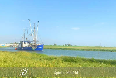 Holiday flat family holiday Dorum