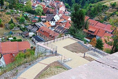 Birkenhain