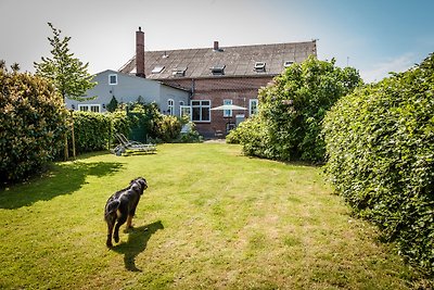 Vakantieappartement Gezinsvakantie Westermarkelsdorf