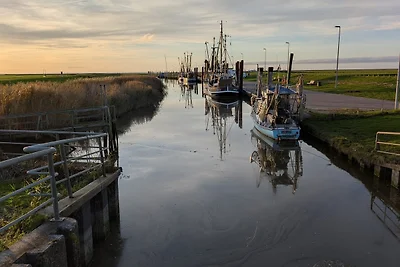 Vakantiehuis Ontspannende vakantie Nordholz