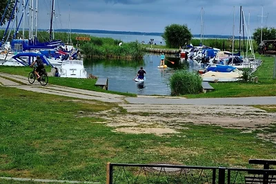 Wasserblick Loddin Deluxe 8